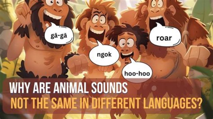 Are animal sounds different in different languages?