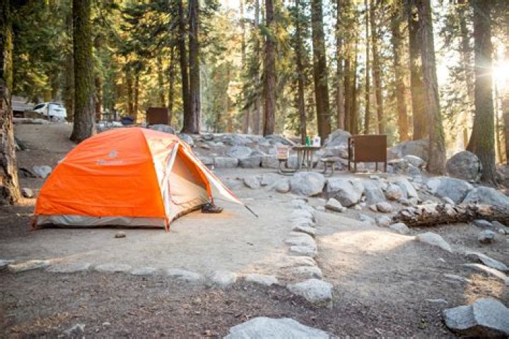 Are campgrounds open in Yosemite?