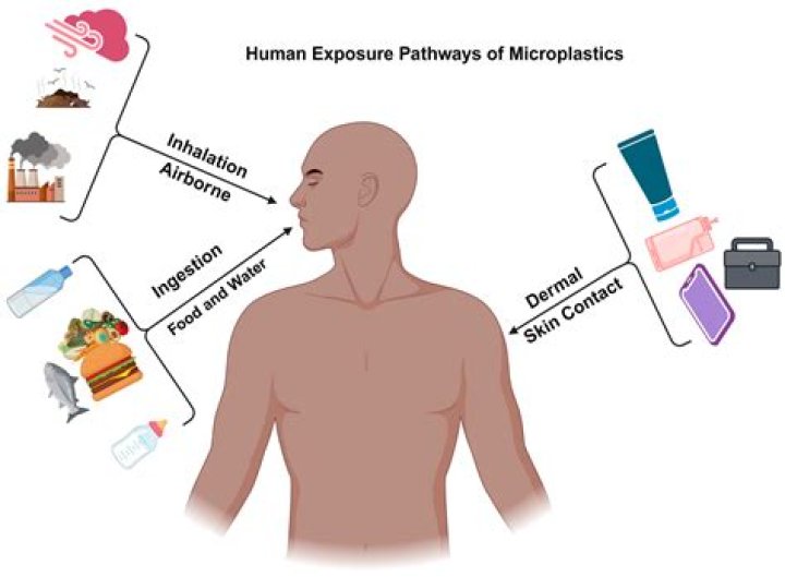 Are plastic bags harmful to humans?