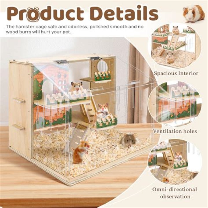 Are rat cages okay for hamsters?