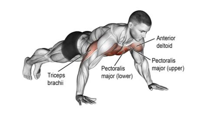 Are wide push ups better?