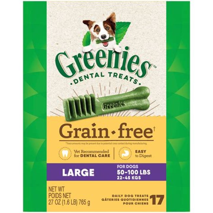 Can a dog get sick from too many greenies?