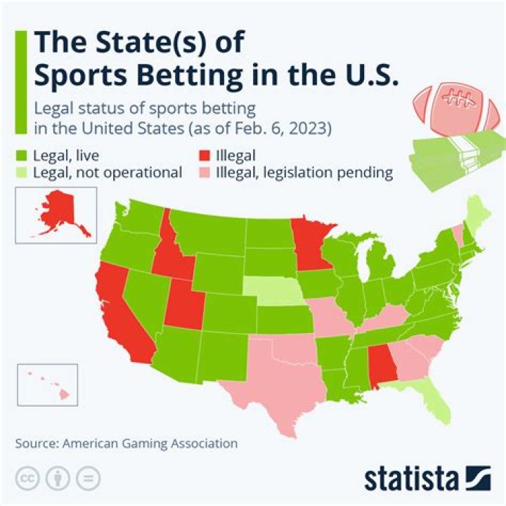 Can betting be a full-time job?