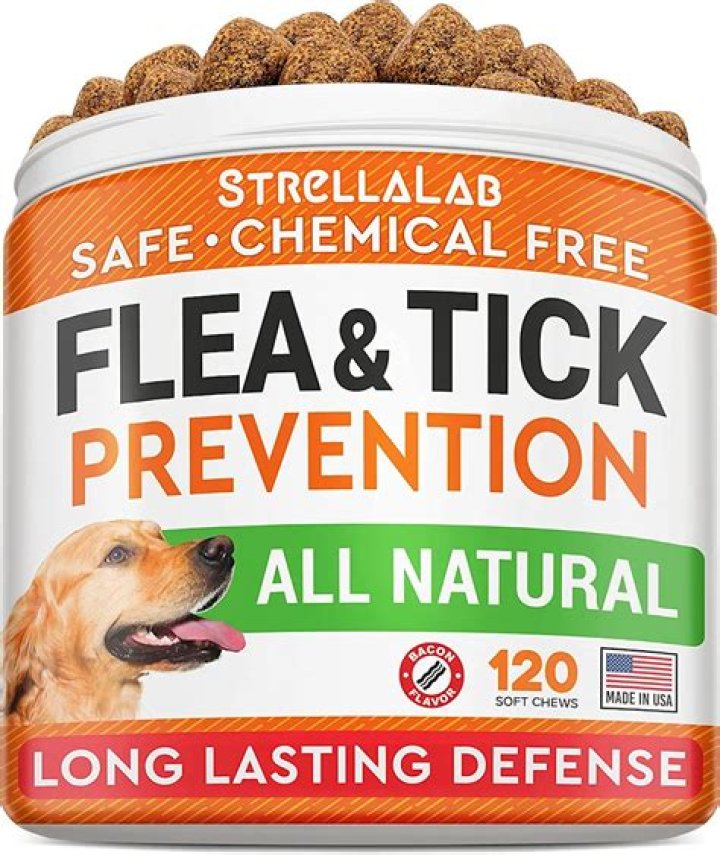 Can flea and tick medicine make a dog sick?