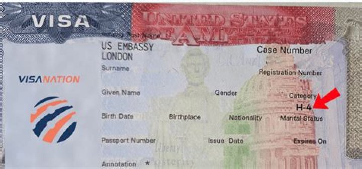 Can h4 visa holder work outside US?
