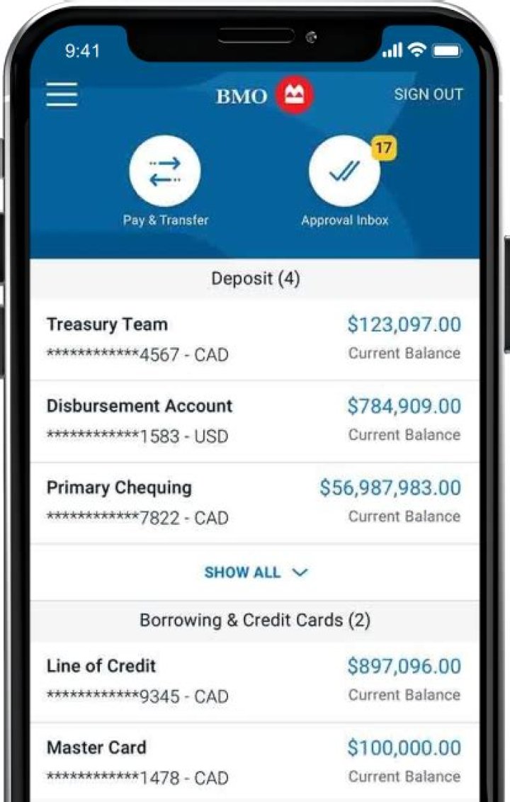 Can I apply for overdraft Online BMO?