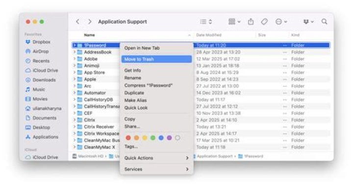 Can I delete Application Support folder?