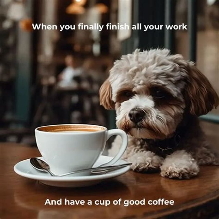 Can I put Baileys in my coffee?