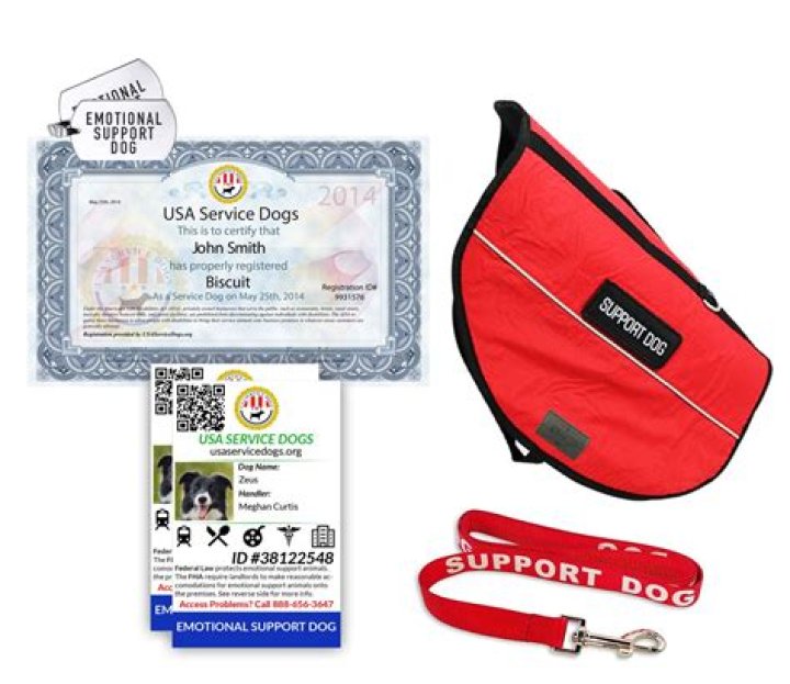 Can I register my dog without papers?