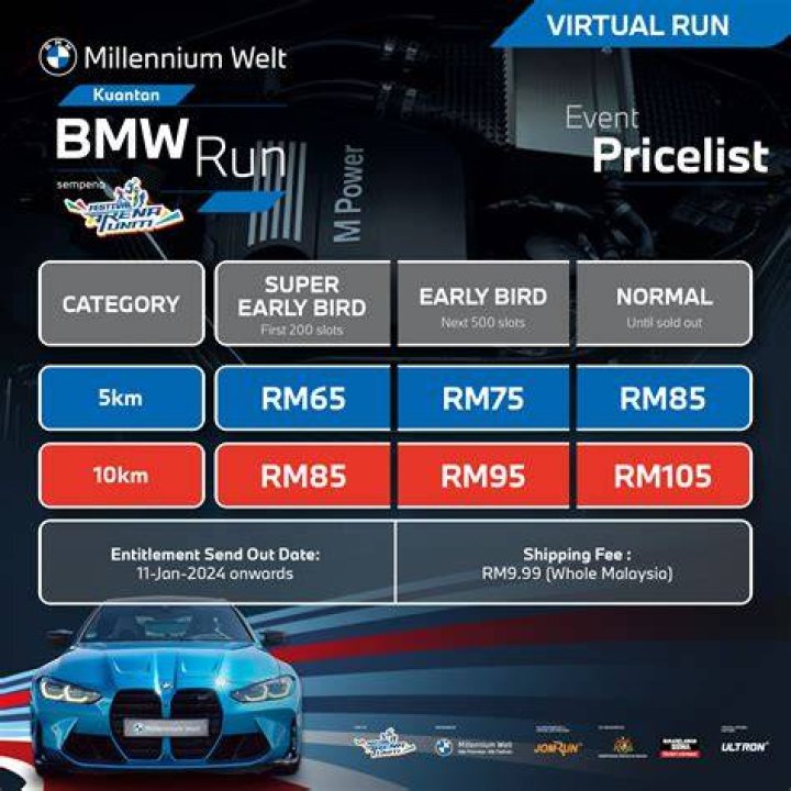 Can my BMW run on e85?