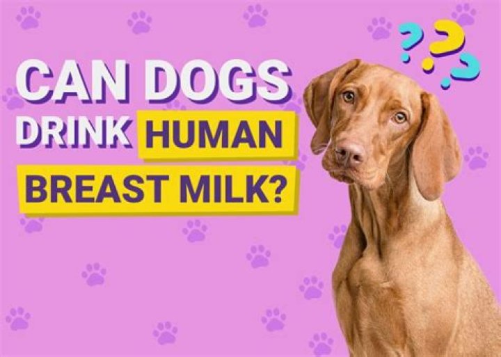 Can other animals drink human milk?