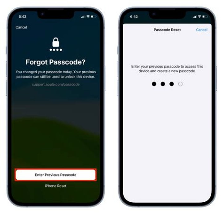 Can someone unlock my iPhone passcode?