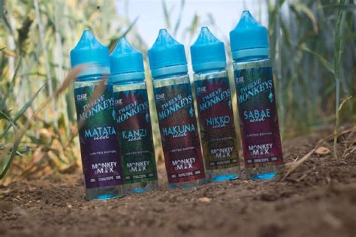 Can the Smok Nord use salt Nic?