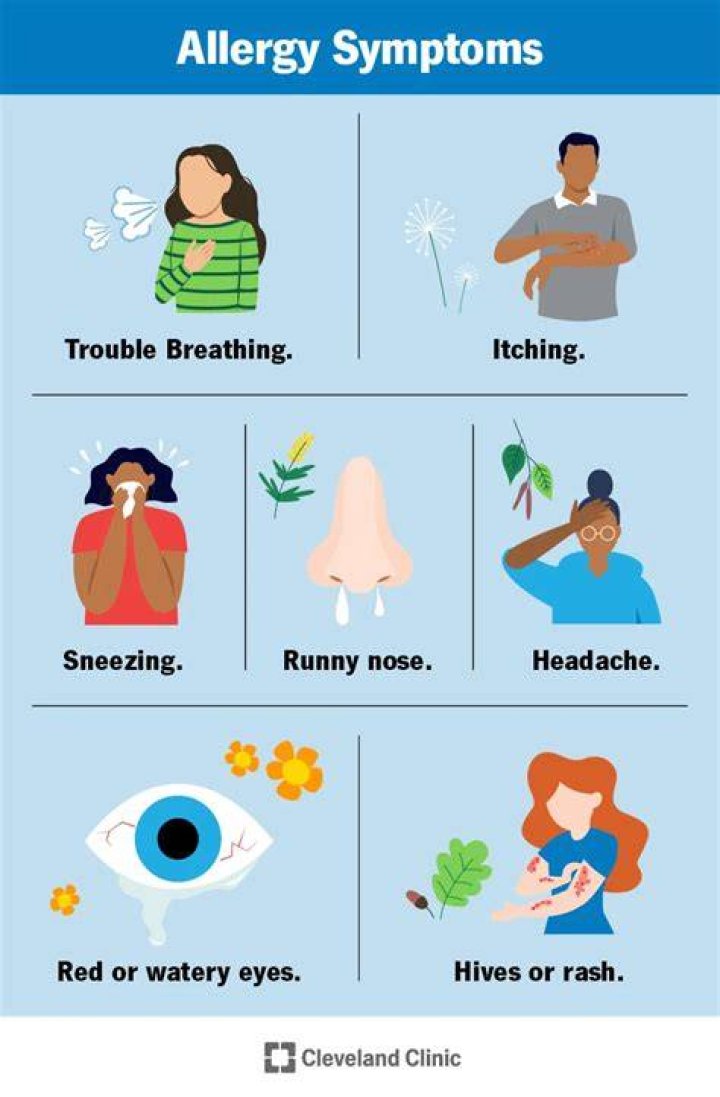Can you be allergic to hypoallergenic?