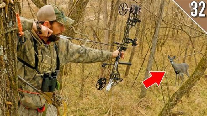 Can you bow hunt in Germany?