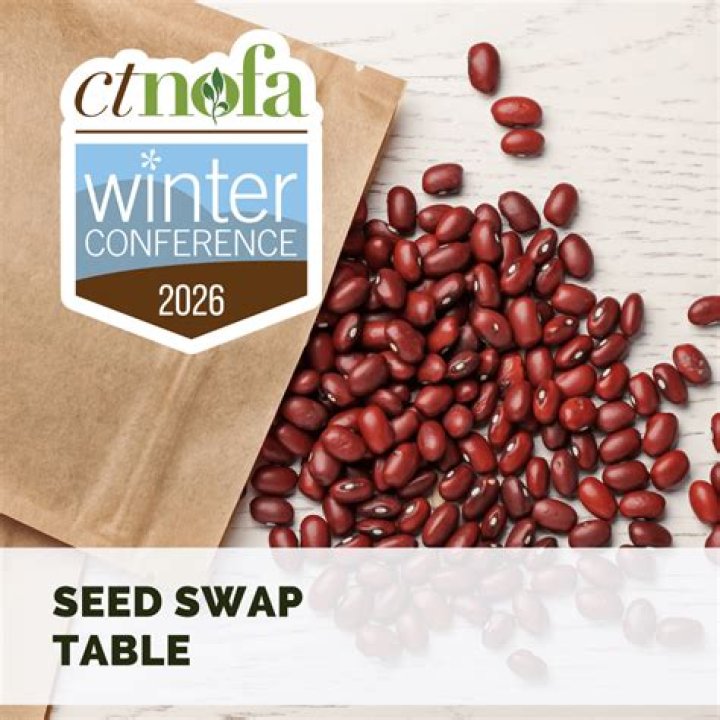 Can you bring seeds to Europe?