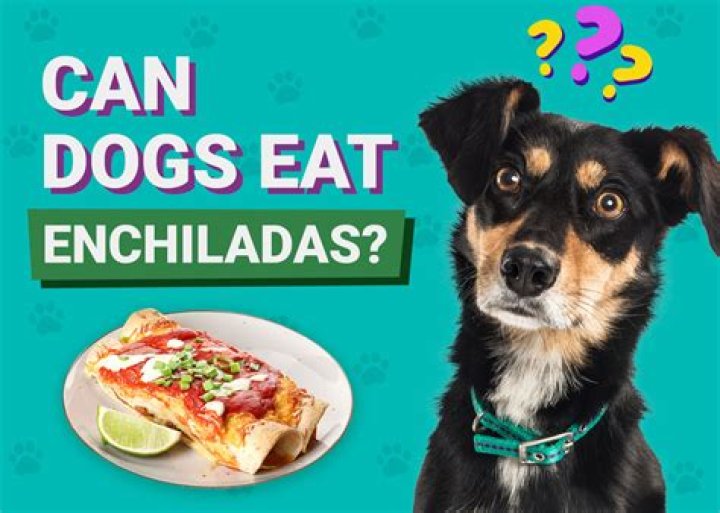 Can you eat enchiladas the next day?