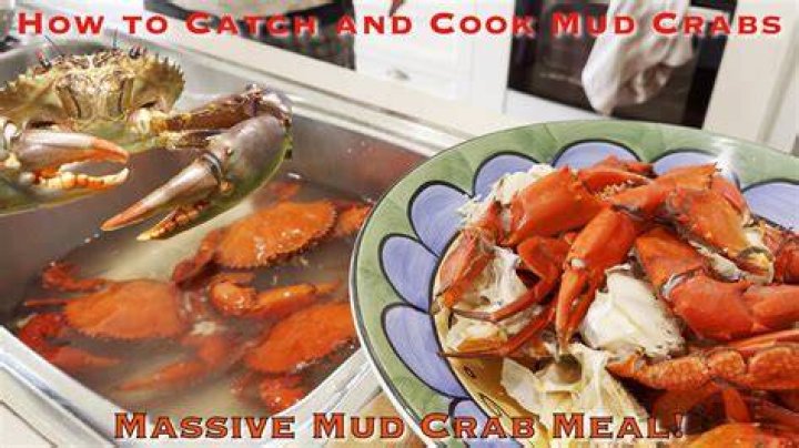 Can you eat mud to survive?