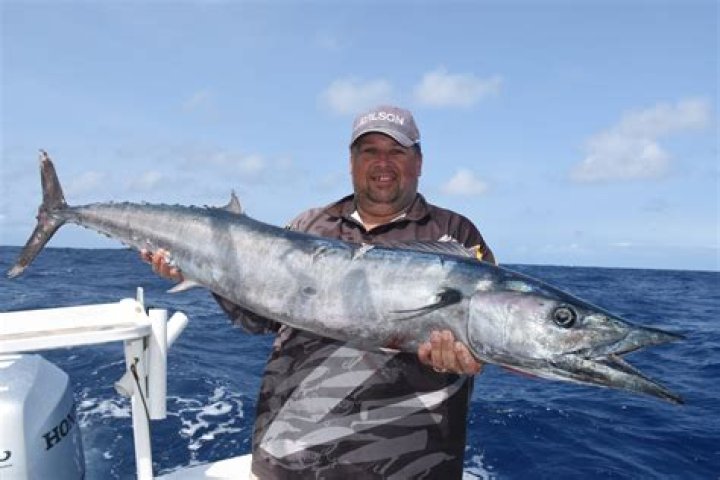 Can you eat ono fish raw?