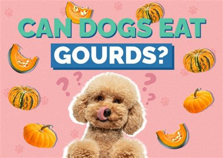 Can you eat swan gourds?