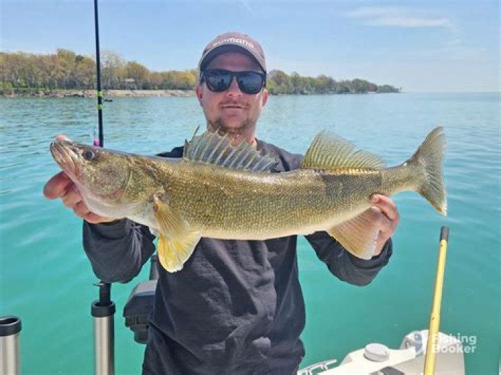 Can you fish at Rend Lake?