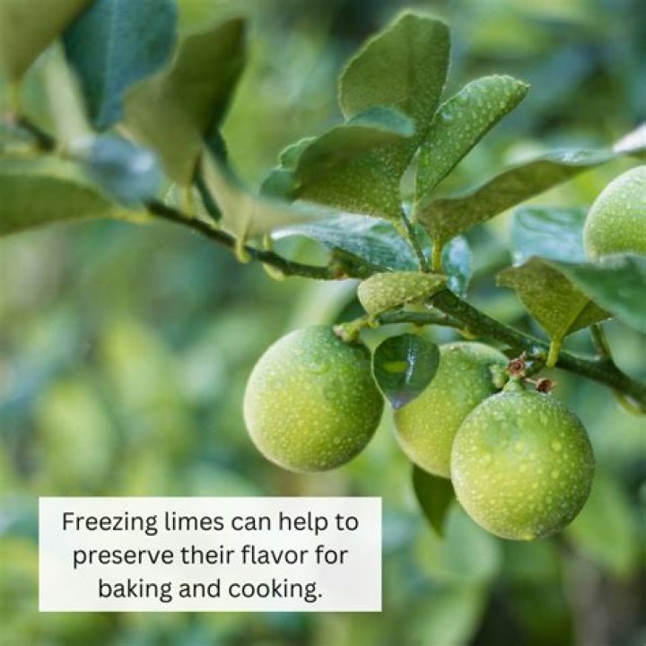 Can you freeze whole fresh limes?