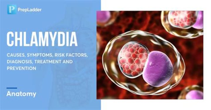 Can you get chlamydia from an animal?