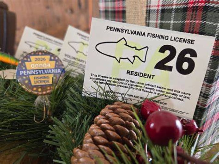 Can you get fishing license online in Alabama?