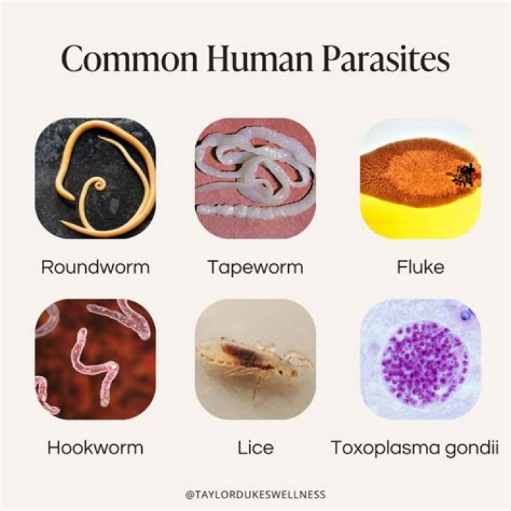 Can you get parasites from swimming pools?