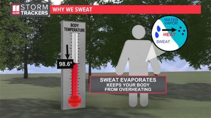 Can you get sick from sweating in cold weather?