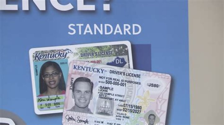 Can you renew your tags online in Kentucky?
