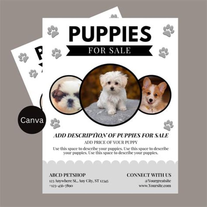 Can you sell puppies on Sims 3?