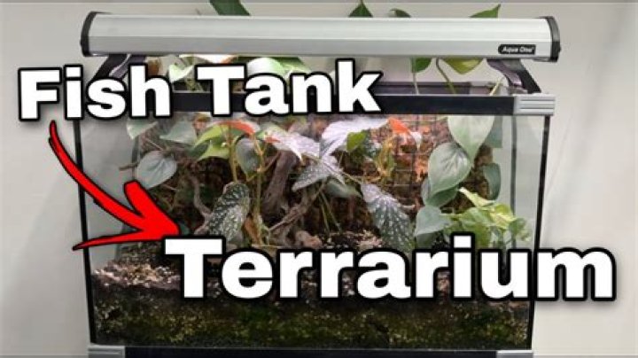 Can you turn a fish tank into a reptile tank?