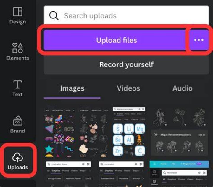 Can you upload your own images to silhouette?
