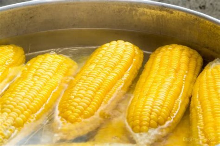 Can you vacuum seal corn on the cob without blanching?