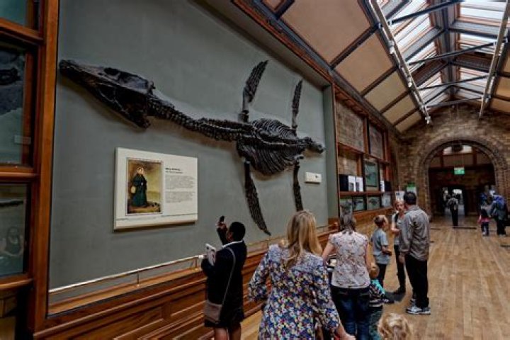 ¿Cómo llegar en metro a Museo de Historia Natural?