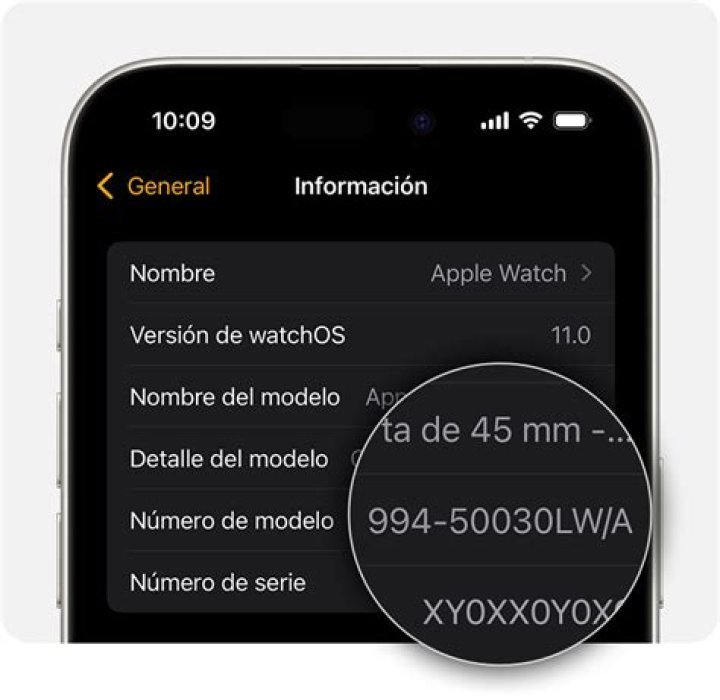 ¿Cómo saber que os tiene mi Apple Watch?