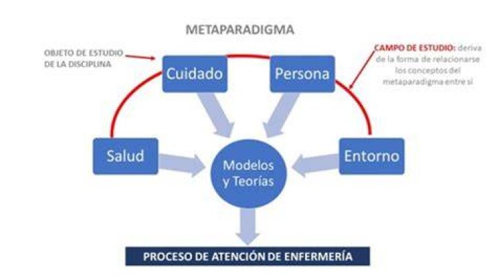 ¿Cómo se compone el Metaparadigma de enfermería?