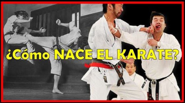 ¿Cómo se juega el kárate do?