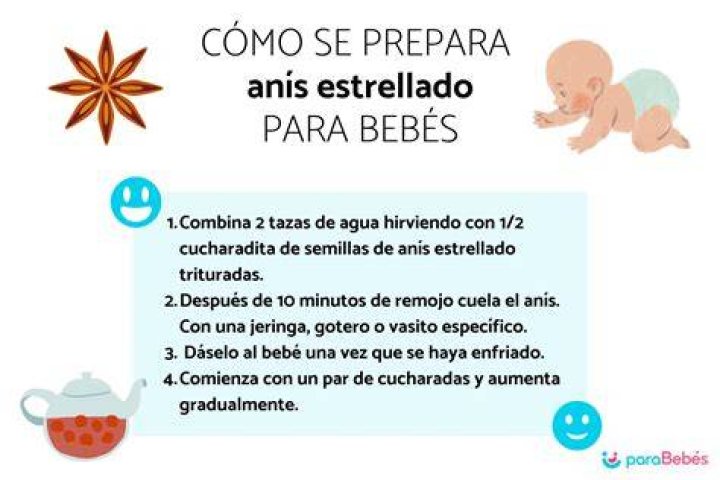¿Cómo se prepara el té de hinojo?