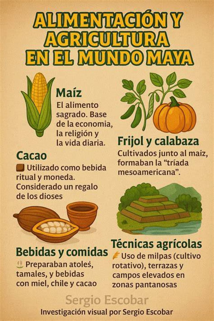 ¿Cuál era el alimento de los incas?