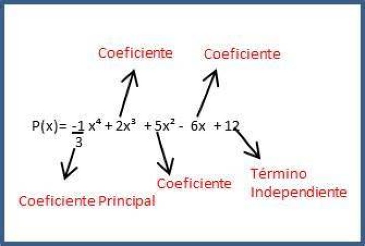 ¿Cuál es el coeficiente de un polinomio?