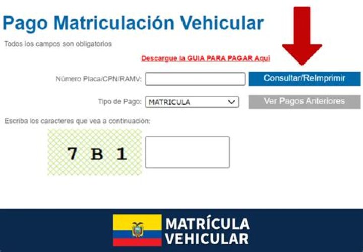 ¿Cuál es el número de matrícula de un carro en Colombia?