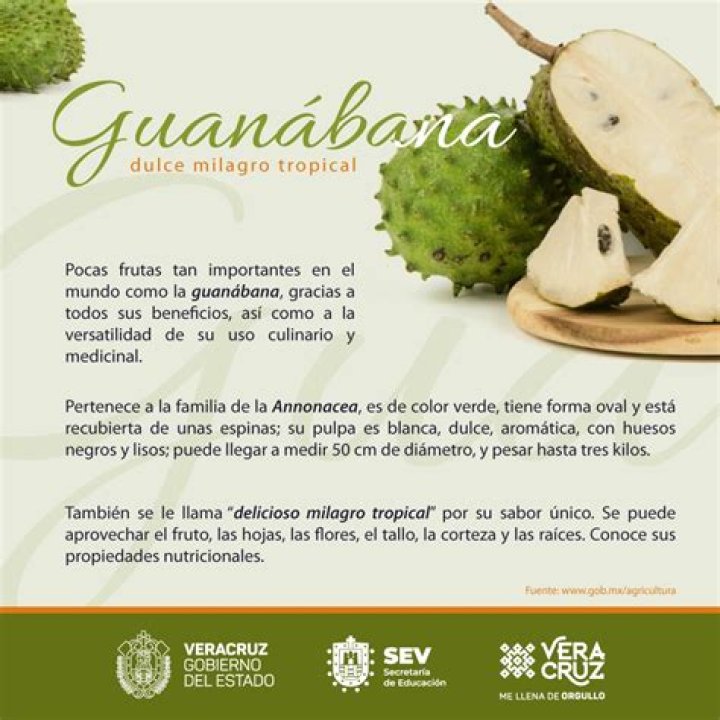 ¿Cuál es el precio de la guanabana?