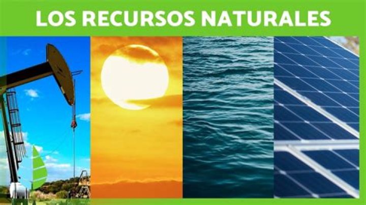 ¿Cuál es el recurso natural más importante y porqué?