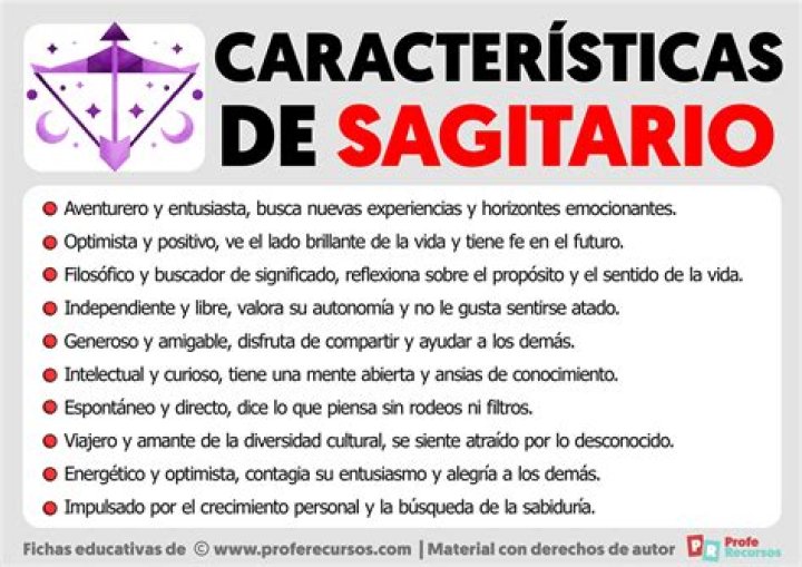 ¿Cuál es el significado de torso?
