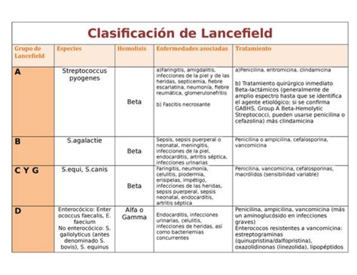 ¿Cuál es la clasificacion de líneas?