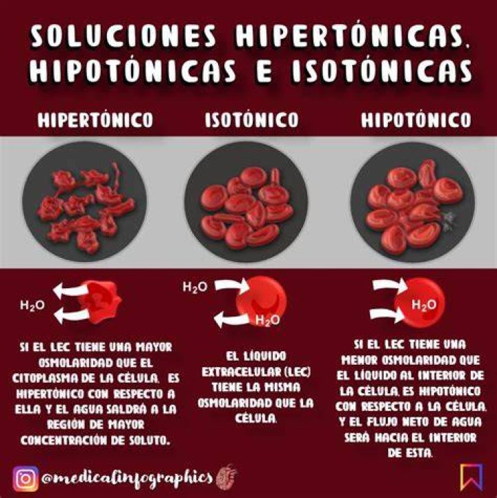 ¿Cuál es la diferencia entre Isotonico e Hipertonico?