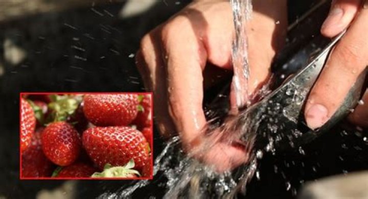 ¿Cuál es la mejor manera de desinfectar las fresas?