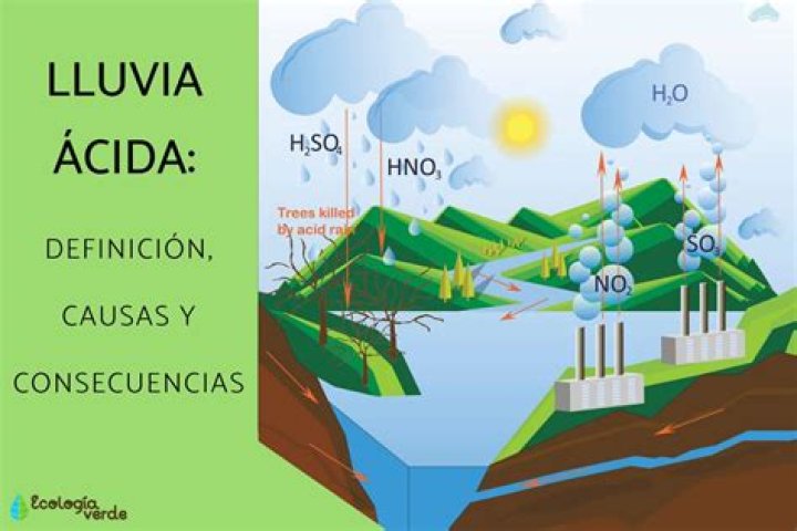 ¿Cuáles son las causas y consecuencias de la lluvia acida?